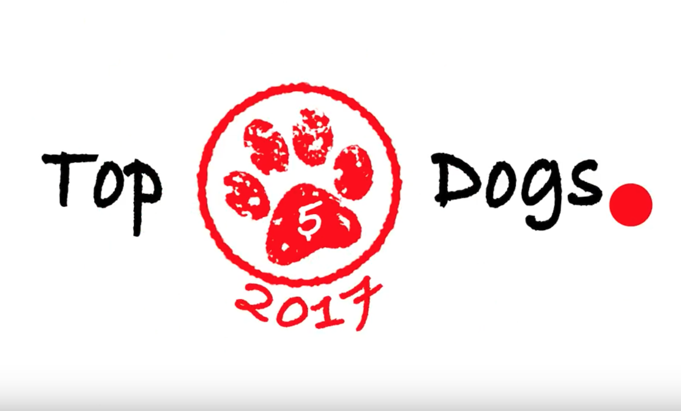 Top 5 Video